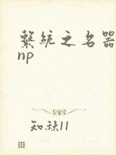系统之名器攻略np