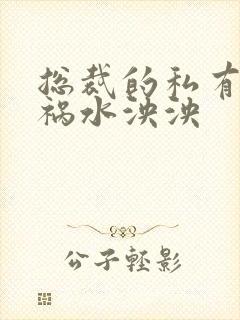 总裁的私有宝贝祸水泱泱封面