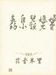 来自儿媳妇的爱的小说免费阅读全文