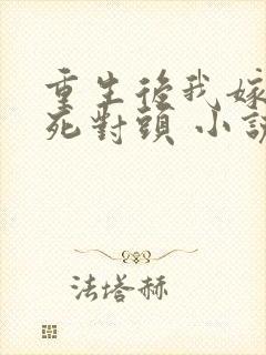 重生后我嫁给了死对头 小说