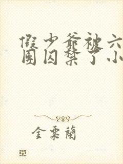 假少爷被六个哥团囚禁了小说