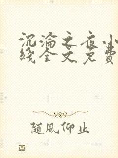 沉沦之夜小说在线全文免费阅读