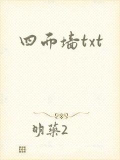 四面墙txt封面