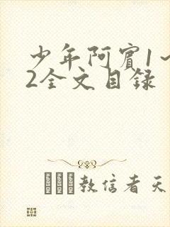 少年阿宾1～72全文目录