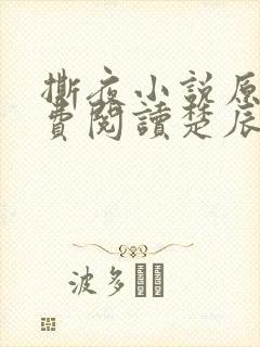 撕夜小说原著免费阅读楚辰安