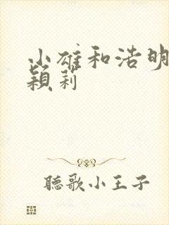 小雄和浩明夹击颖莉封面