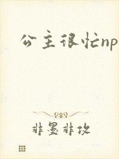 公主很忙npc