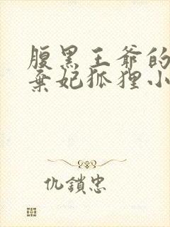 腹黑王爷的绝色弃妃狐狸小姝