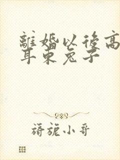 离婚以后高干 耳东兔子封面