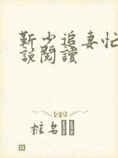 靳少追妻忙 小说阅读