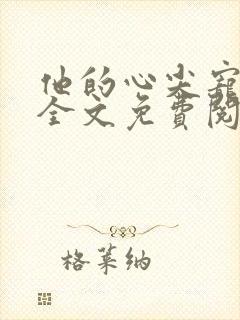 他的心尖宠小说全文免费阅读封面