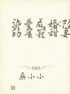 染爱成婚:陆少的蜜宠甜妻