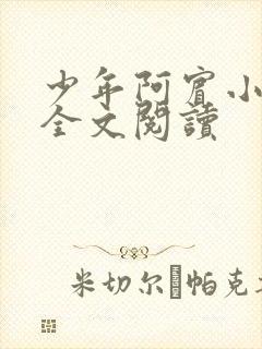 少年阿宾小说 全文阅读封面