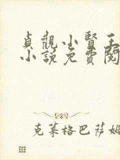 贞观小贤王李慎小说免费阅读