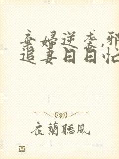 弃妇逆袭,邪王追妻日日忙