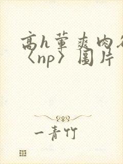 高h荤爽肉欲文〈np〉图片