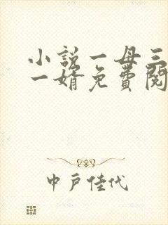 小说一母三女共一婿免费阅读