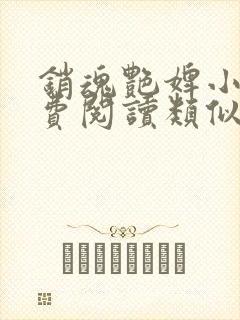 销魂艳婢小说免费阅读类似五王爷的小说封面