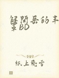 解开岳的丰满奶罩BD封面
