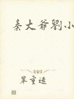 秦大爷刘小静