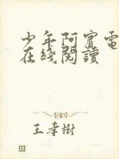 少年阿宾电子书在线阅读