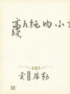高h纯肉小说在线