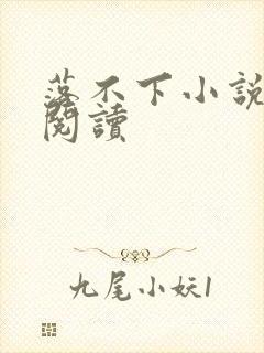 落不下小说全文阅读