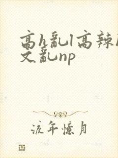 高h乱l高辣h文乱np封面