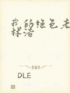 我的绝色老板娘林浩封面