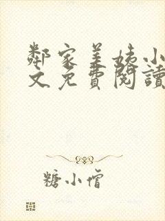 邻家美姨小说全文免费阅读封面