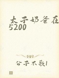 太子奶爸在花都5200