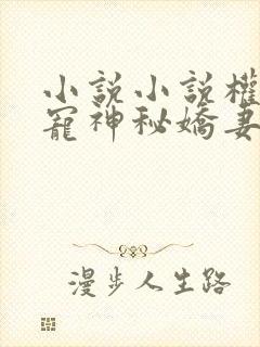 小说小说权爷枭宠神秘娇妻
