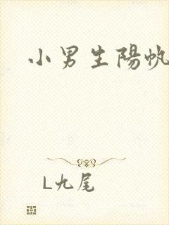 小男生阳帆