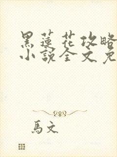 黑莲花攻略手册小说全文免费阅读笔趣阁封面