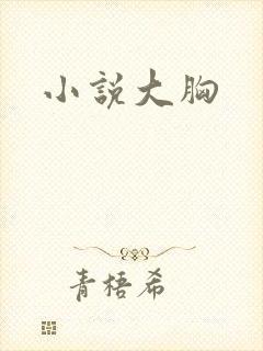 小说大胸