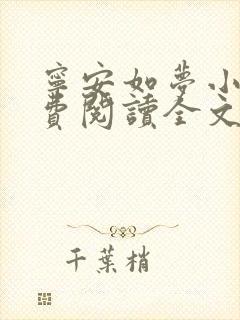 宁安如梦小说免费阅读全文最新