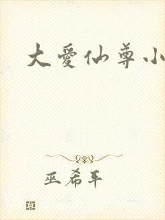 大爱仙尊小说封面
