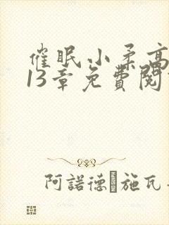 催眠小柔高达第13章免费阅读