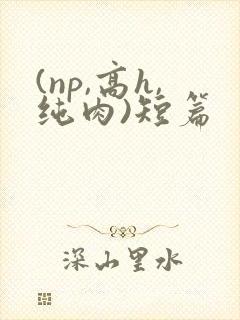 (np,高h,纯肉)短篇