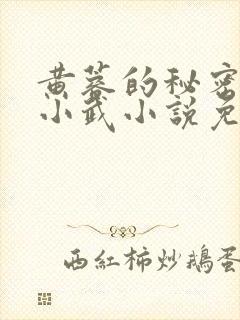 黄蓉的秘密大武小武小说免费阅读全文