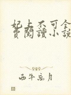 妃上不可全文免费阅读小说封面