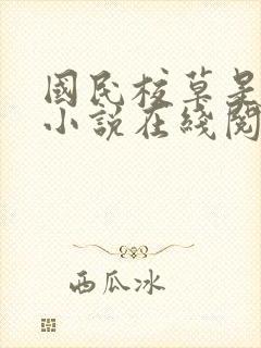 国民校草是女生小说在线阅读