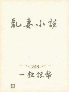 乱妻小说