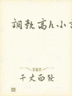 调教高h小说