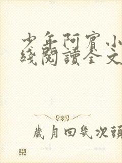 少年阿宾小说在线阅读全文免费阅读封面