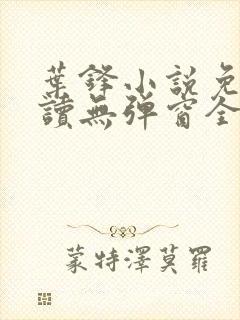 叶锋小说免费阅读无弹窗全文