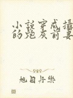 小说穿成摄政王的炮灰前妻封面