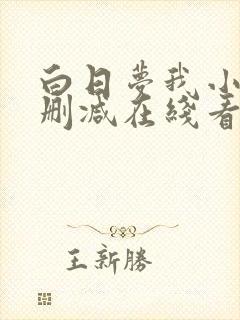 白日梦我小说未删减在线看
