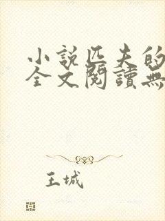 小说匹夫的逆袭全文阅读无弹窗
