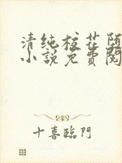 清纯校花堕落记小说免费阅读